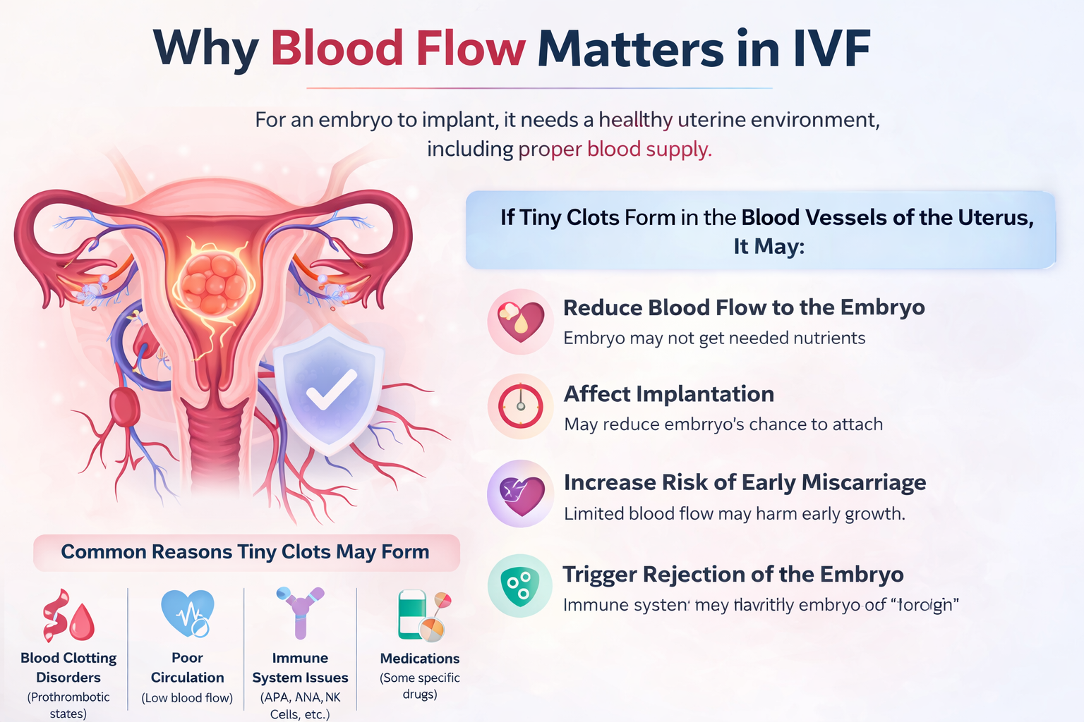 Embryo development stages